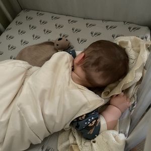 Meet your Posher, Rose